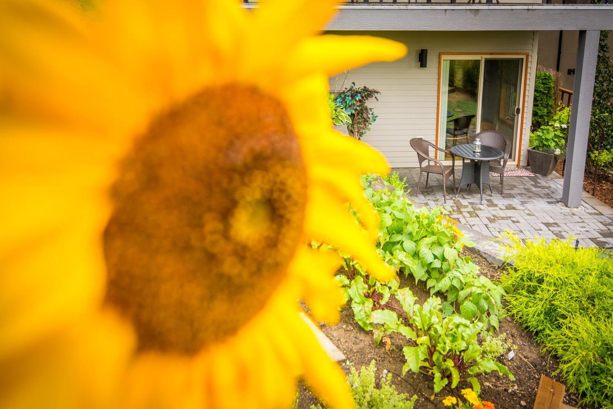 Cormier'S Studio Guest Suites Penticton Exteriör bild